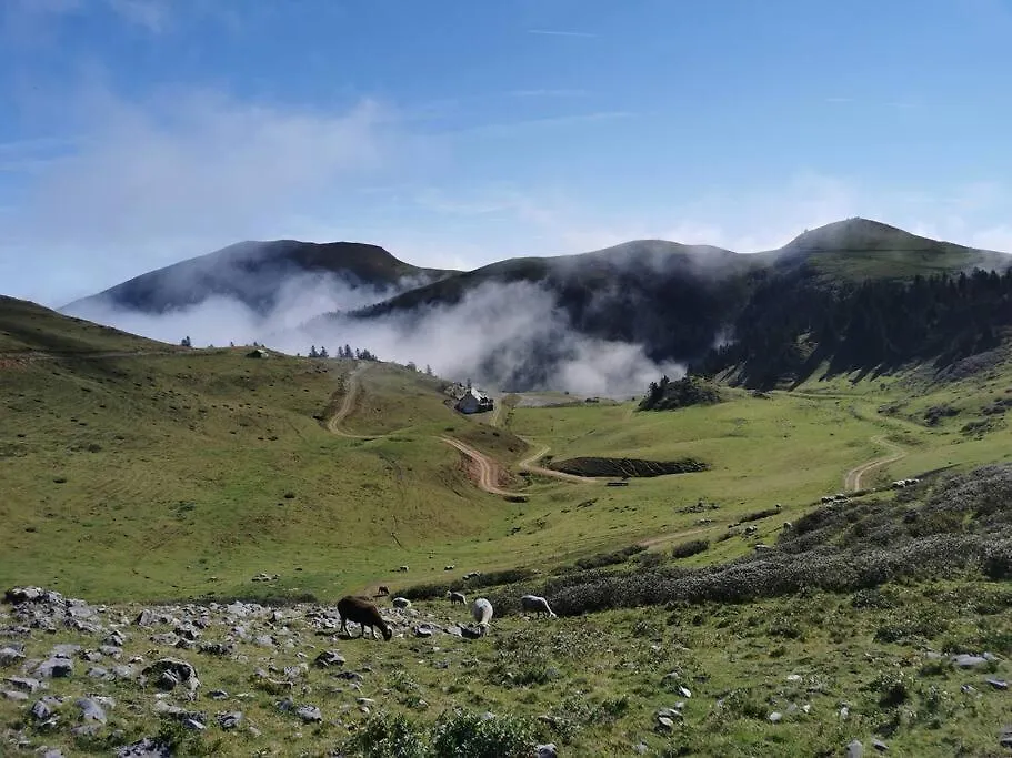 Cabane Dans Les Bois Avec Vue Sur Les Pyrenees Saint-Laurent-de-Neste 0*,