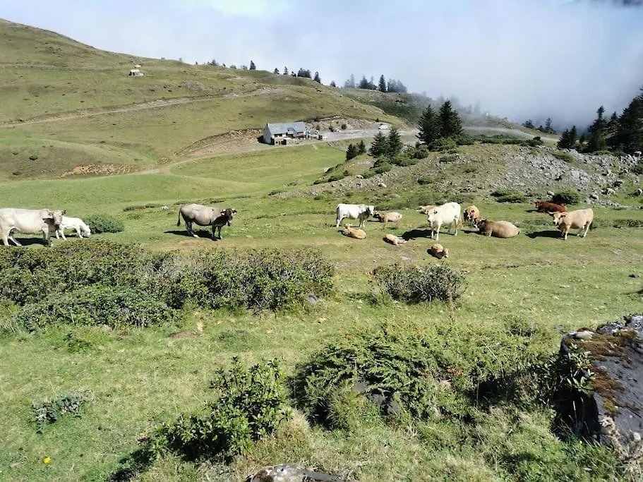 Cabane Dans Les Bois Avec Vue Sur Les Pyrenees Saint-Laurent-de-Neste Chalet